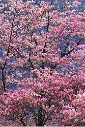 西班牙风格动作游戏《戒备》今日正式发售